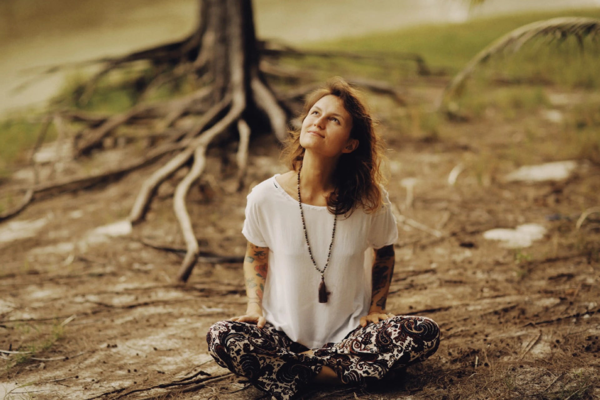 Immunity and camel milk